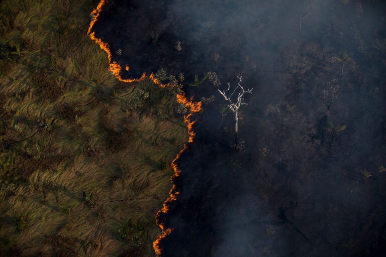 Desmatamento da amazonia