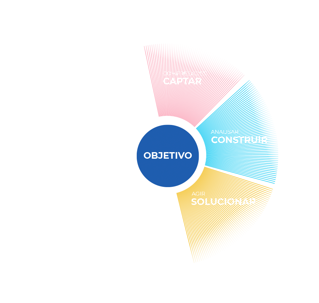 Esquema quadro explicativo da Apply Brasil Referente aos objetivos